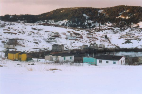 482: Red Island harbour. "What a place to go sliding" (circa 2000) [courtesy of Madonna (Bishop) Mulrooney]